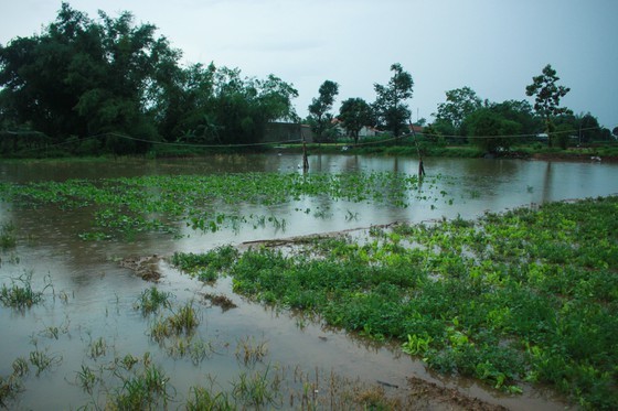 Central localities strengthen flood prevention operations ảnh 6
