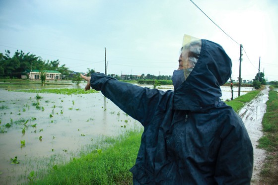 Central localities strengthen flood prevention operations ảnh 10