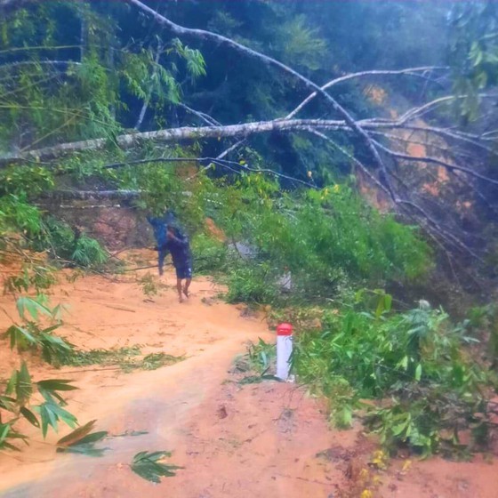 Flood-triggered landslide kills three people, leaves five missing ảnh 4