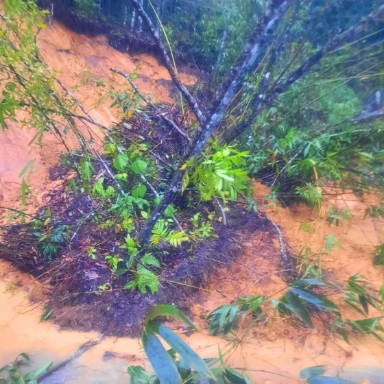 Flood-triggered landslide kills three people, leaves five missing ảnh 5