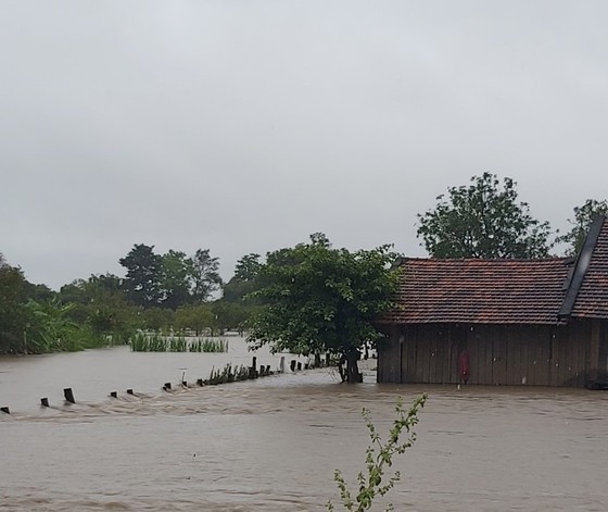 Flood-triggered landslide kills three people, leaves five missing ảnh 6