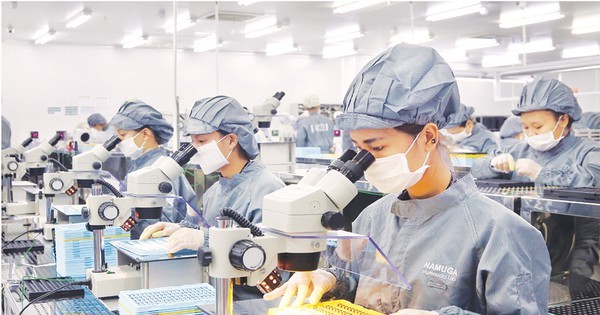 Around 150,000 employees come back to HCMC ảnh 1