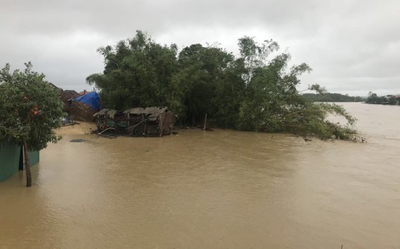 Central localities promptly evacuate people from flood-prone areas ảnh 5