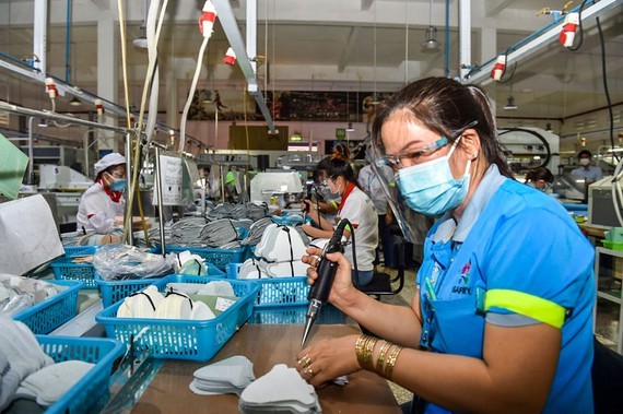 Adaptability essential to survive pandemic ảnh 1