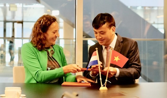 HCMC learns Dutch experience to tackle flooding, environmental pollution ảnh 2