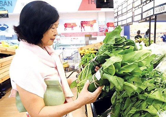 Plastic waste elimination efforts underway in Vietnam ảnh 5