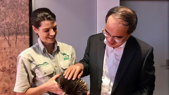 HCMC Party Leader starts visit to Australia ảnh 3