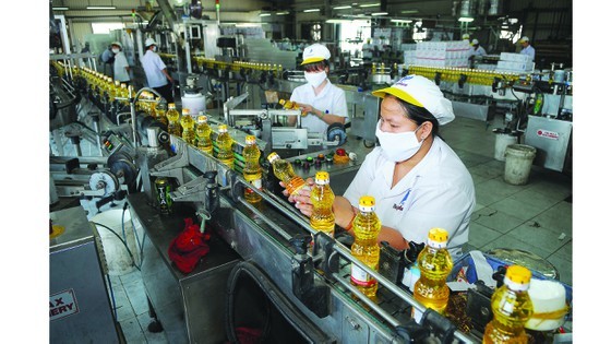 HCMC suggested to develop recovery program for post-COVID-19 economy ảnh 1