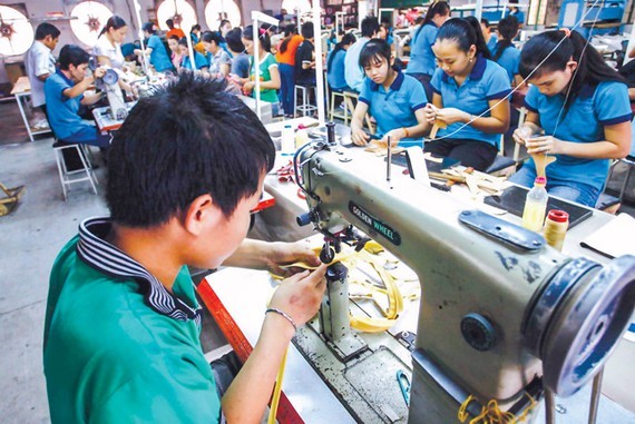 Private sector unable to create necessary value chain ảnh 1