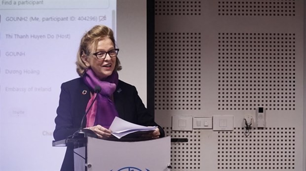 Mine action in Vietnam making progress: UNDP country chief ảnh 1