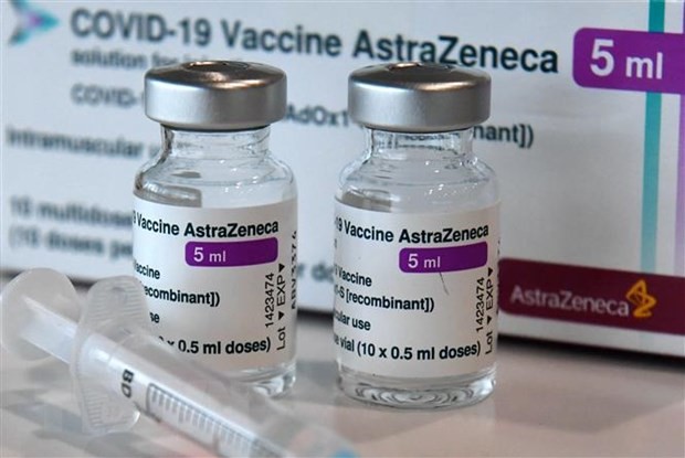 VN supports equitable Covid-19 vaccine distribution, human rights protection ảnh 1