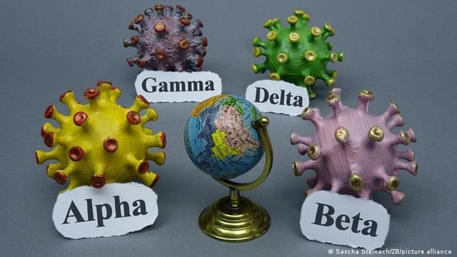 Sau Delta, chủng virus đột biến Gamma đang dấy lên mối lo ngại mới ở nhiều nước - Ảnh 1. Sau Delta, chủng virus đột biến Gamma đang dấy lên mối lo ngại mới ở nhiều nước - Ảnh 1.