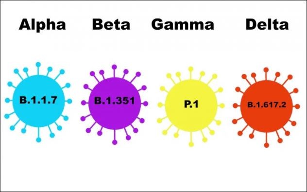 Sau Delta, chủng virus đột biến Gamma đang dấy lên mối lo ngại mới ở nhiều nước - Ảnh 2. Sau Delta, chủng virus đột biến Gamma đang dấy lên mối lo ngại mới ở nhiều nước - Ảnh 2.