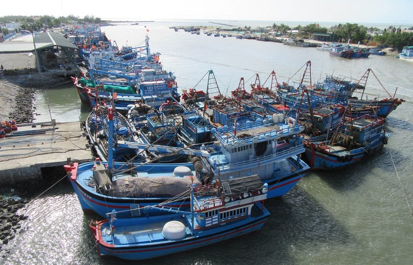 Tàu thuyền đánh bắt xa bờ neo đậu tại cảng cá Ninh Chữ (huyện Ninh Hải, Ninh Thuận). (Ảnh: Nguyễn Thành/TTXVN)