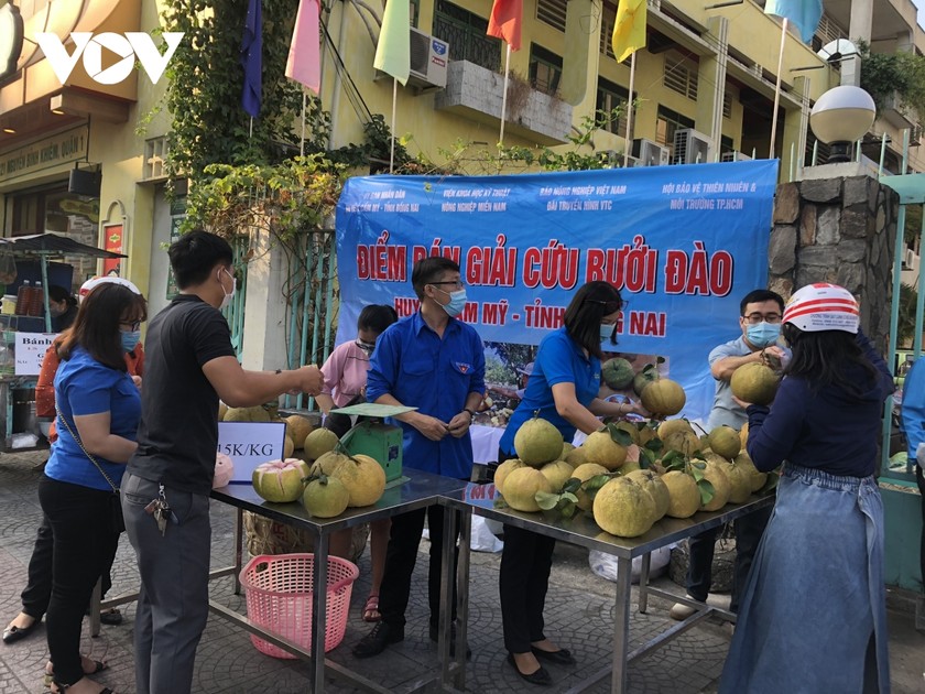 Người dân nhiều tỉnh thành nhiệt tình "giải cứu" nông sản Hải Dương ảnh 4