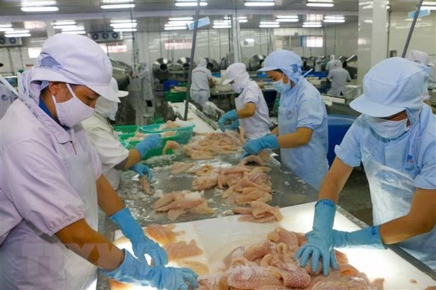 Giữ nhịp tăng trưởng, xuất nhập khẩu cả nước đều vượt 2 con số hình ảnh 2 Giu nhip tang truong, xuat nhap khau ca nuoc deu vuot 2 con so hinh anh 2