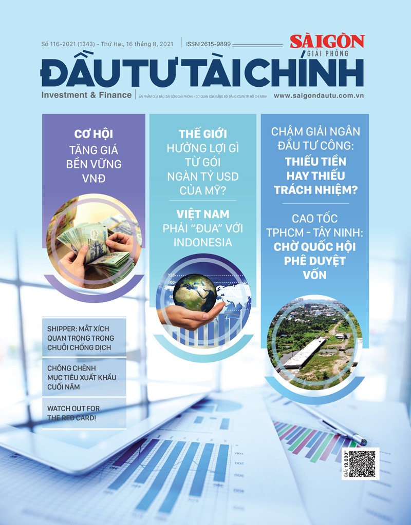 Đón đọc ĐTTC bộ mới số 116 phát hành thứ hai ngày 16-8-2021 ảnh 1