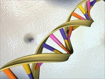 Scientists crack gene code of common cancers | International | SGGP