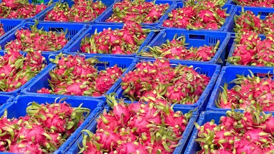 Gov’t to strengthen management at regions with agricultural Production Unit Code ảnh 2