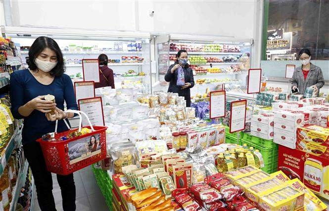 Chuyển đổi số tạo lực đẩy tăng trưởng ngành bán lẻ ảnh 1