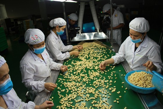 Agricultural sector should aim at value chain, official export ảnh 1