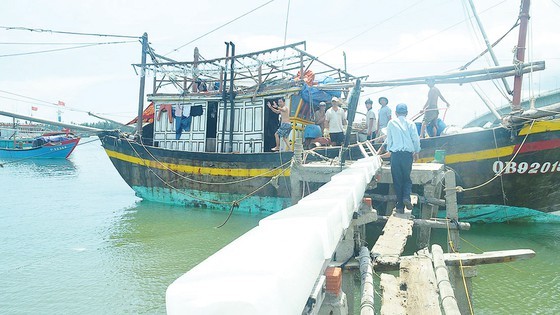 Gifts from the Sea in early summer ảnh 2