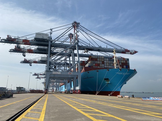 Cai Mep International Terminal receives ultra-large container ship ảnh 1