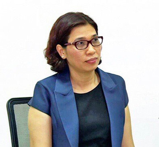 HCMC aims to achieve disbursement rate of public investment at above 90 percent ảnh 1