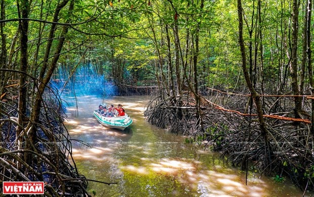 Vietnam’s southernmost province a magnet for tourists ảnh 1