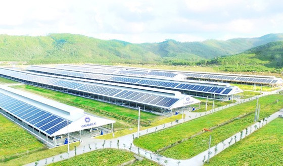 Many enterprises return to domestically-made raw materials ảnh 1