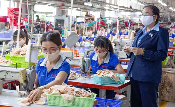 Domestic enterprises prevent trade remedies amid Covid-19 pandemic ảnh 1
