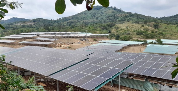 Many rooftop solar power projects camouflage as farms in Central Highlands ảnh 1