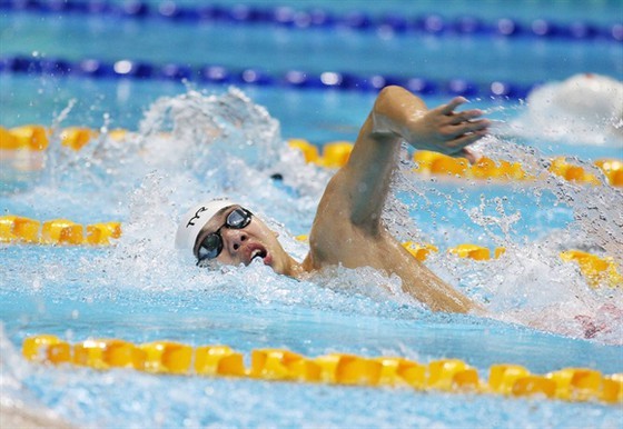 Highlights in Vietnamese delegation's competition at Tokyo Olympics ảnh 1