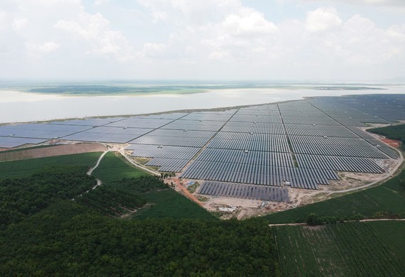 Renewable energy companies thrive on rising demand ảnh 1