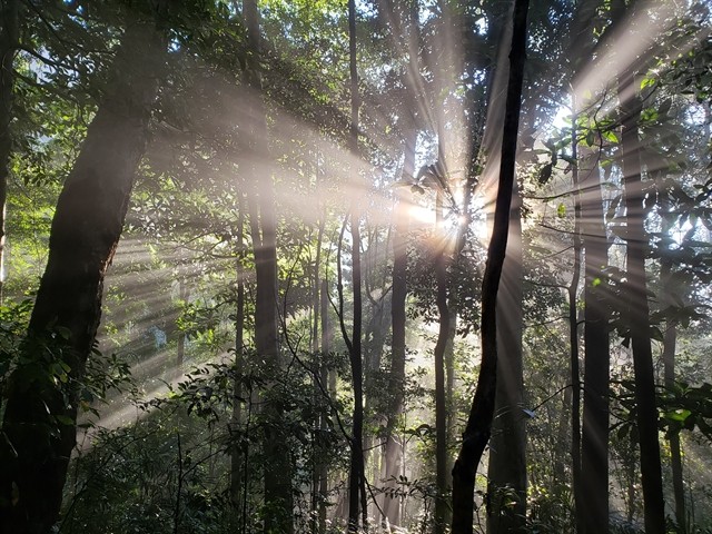 Two of Vietnam's biosphere reserves win UNESCO recognition ảnh 2