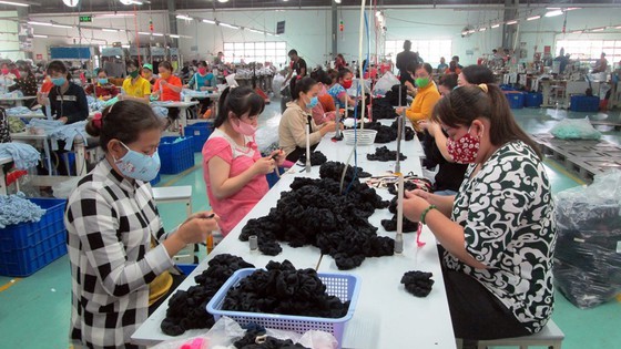 Quang Trung Software Park, Saigon Hi-Tech Park, Nike Group resume operation in Vietnam ảnh 1