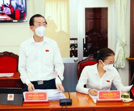 Director of HIDS suggests spending up to VND40 trillion to support businesses ảnh 1