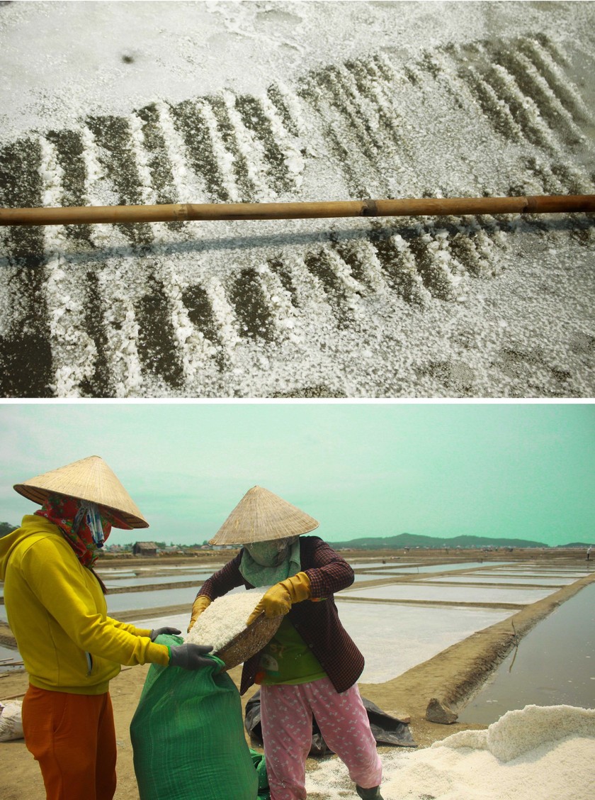 Sa Huynh salt farmers endure falling prices ảnh 7
