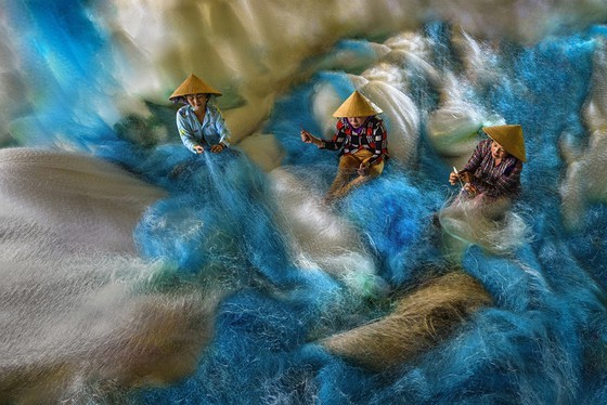 Discovering the beauty of life's colors ảnh 1