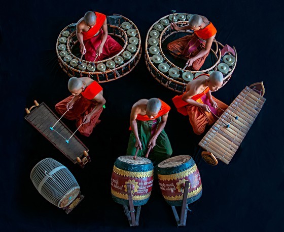 Discovering the beauty of life's colors ảnh 6