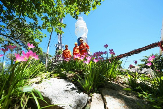 Discovering Green Island in Quy Nhon City ảnh 2
