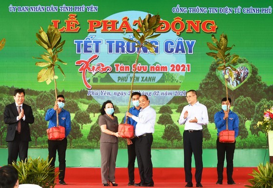 Phu Yen to be listed in country’s top tree-covered localities: PM ảnh 5