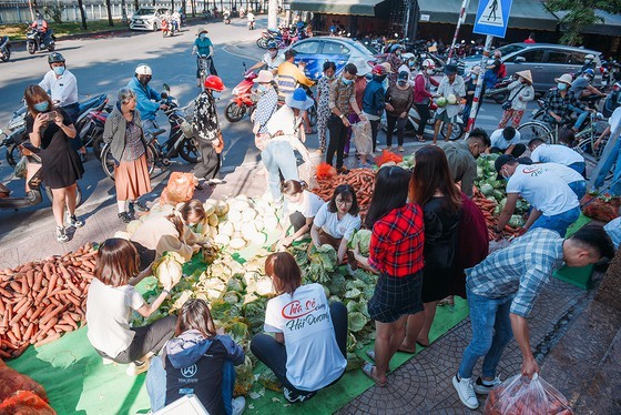 Beauty queens join produce 'rescue' campaign to help farmers in affected area ảnh 1