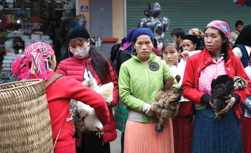 Beauty of women in Ha Giang Province’s plateau of rocks ảnh 3