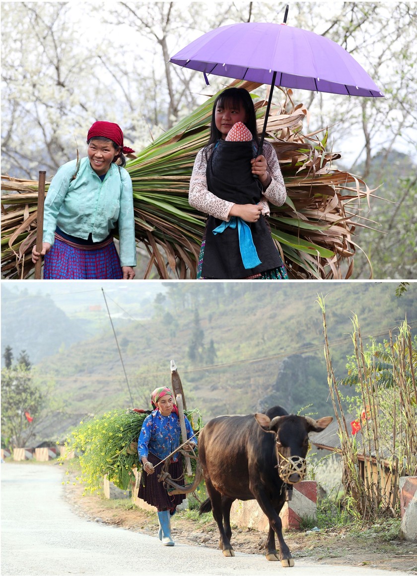 Beauty of women in Ha Giang Province’s plateau of rocks ảnh 7