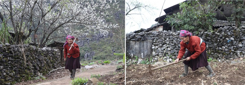 Beauty of women in Ha Giang Province’s plateau of rocks ảnh 8