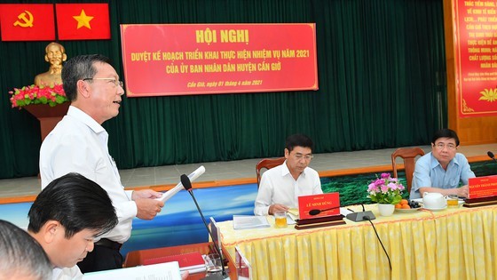 Can Gio to be developed into ecotourism and recreation city ảnh 2