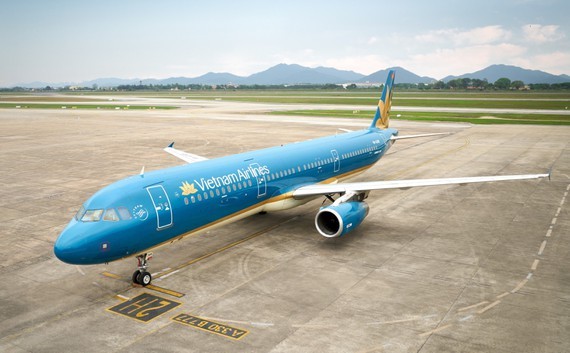 Vietnam Airlines offers 8 domestic routes ảnh 1