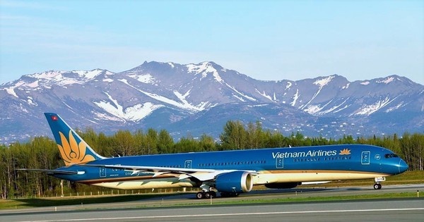 VNA plans 12 repatriation flights for Vietnamese citizens stranded in US in 2021 ảnh 1