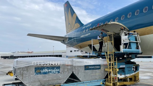 Shipment of AstraZeneca vaccines donated by Japan arrives in HCMC ảnh 1